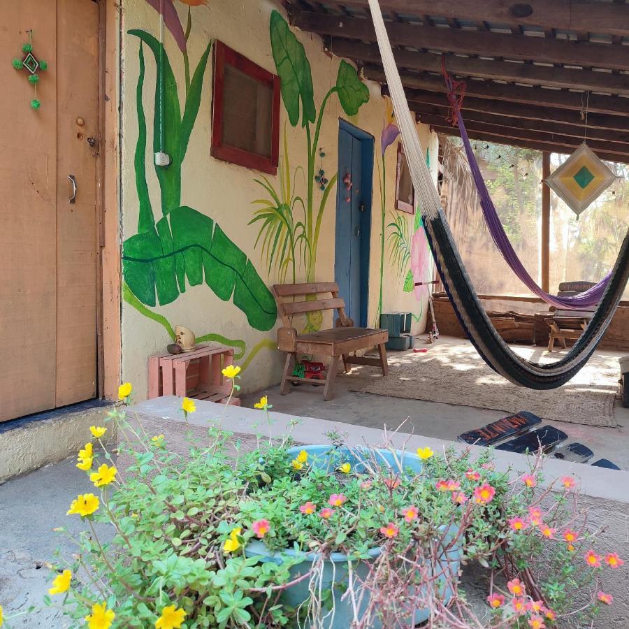 El Hostel De Ivanna マスンテ エクステリア 写真
