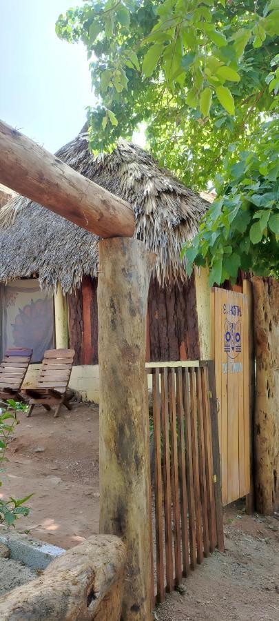 El Hostel De Ivanna マスンテ エクステリア 写真