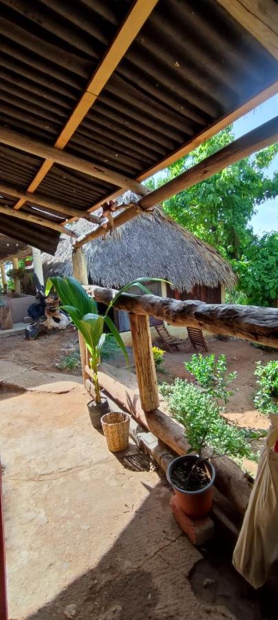 El Hostel De Ivanna マスンテ エクステリア 写真